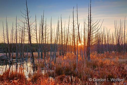 Marsh Sunrise_10770-1.jpg - Photographed from the Rideau Trail at Ottawa, Ontario - the capital of Canada.
